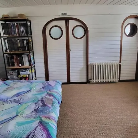 Dans Peniche Atypique Et Idyllique A Confluence Botel Lyon